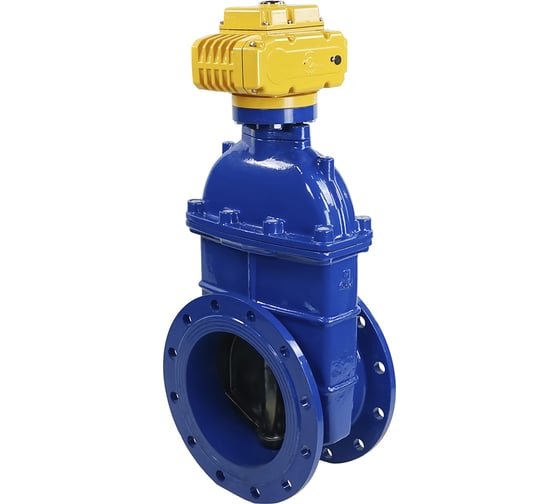 Изображение товара Задвижка DN.ru 30ч939р -300-10-GGG50-EPDM-F4-BLUE Ду300 Ру10 электропривод MT 220В D040-00808