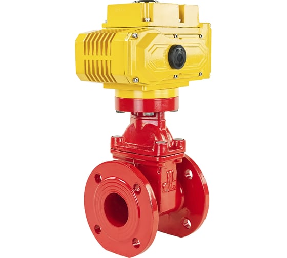 Изображение товара Задвижка клиновая DN.ru 30ч939р Ду65 Ру16 с электроприводом MT-50 220В, цвет - красный D040-00721