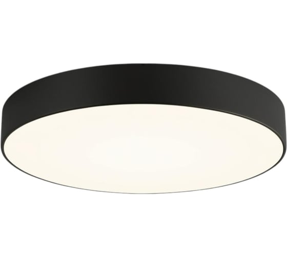 Изображение товара Светильник светодиодный truEnergy накладной, круг, 22W, 4000K, 1800Lm, D205мм, IP20, черный, пластик 11165