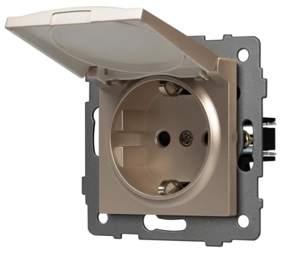 Изображение товара Механизм розетки влагозащищенный Arlight SCT-MCP-PL-GD-V 1шт 0 049837