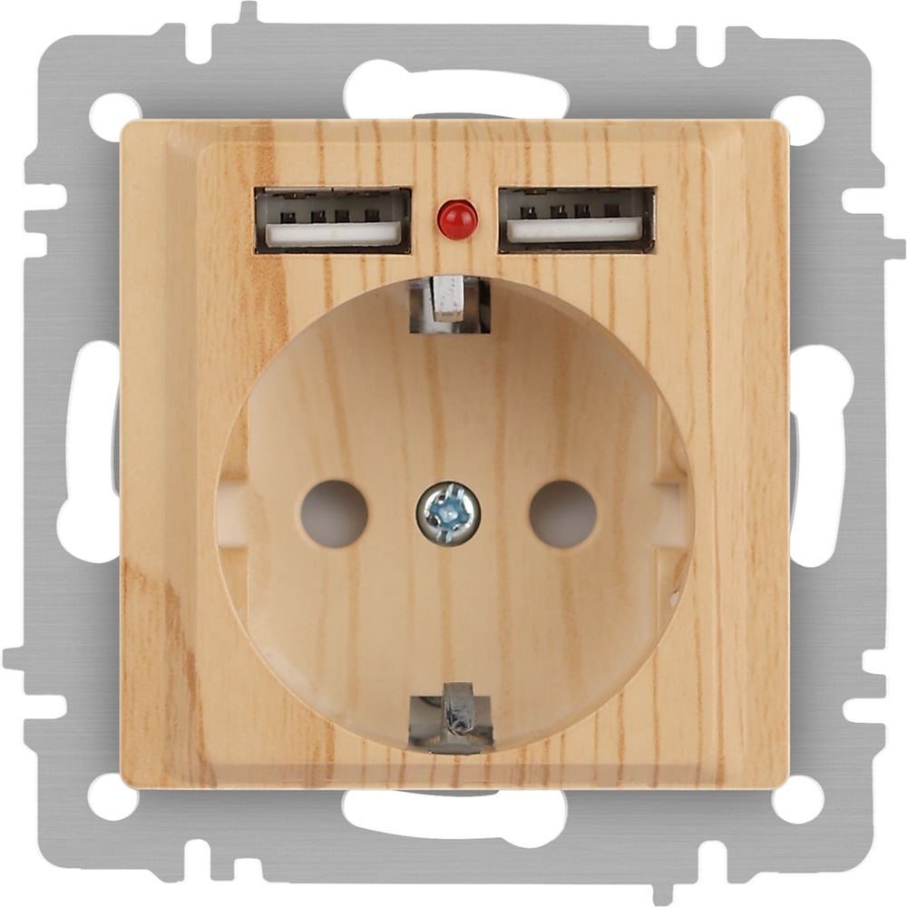 Изображение товара Розетка Intro Accent 641011 со шторками USB IP20 сосна