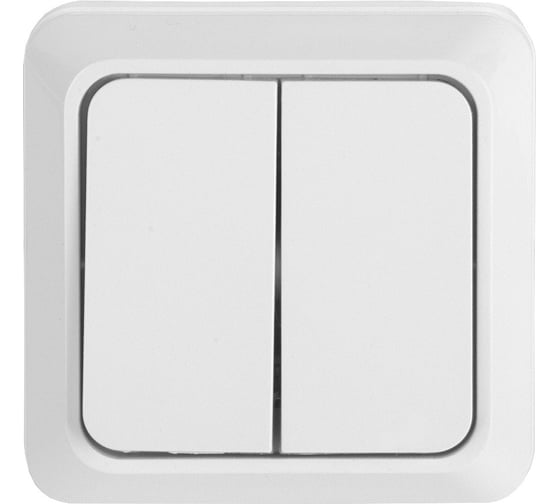 Изображение товара Выключатель двухклавишный General Lighting Systems открытой установки, накладной, IP20, 10А - 250В, белый серия "Альфа", упаковка 10 штук 477002