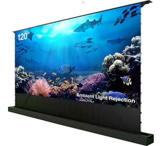 Изображение товара Экран Cactus FloorRising CS-PSFRALR-263x148, 148x263 см, 16:9 напольный рулонный черный, моторизованный 2029378