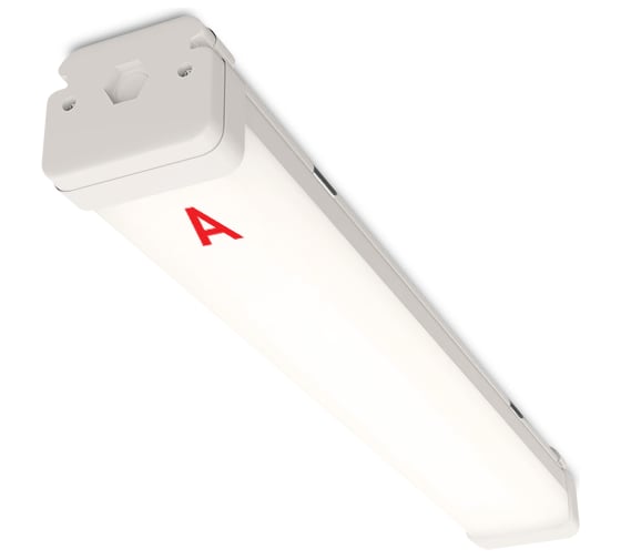 Изображение товара Светильник WOLTA Pro НеоПРОМ с БАП ЕМ1 Матовый ДСП05-27-041-4К