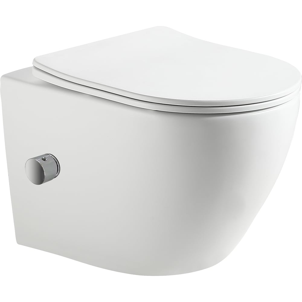 Изображение товара Подвесной безободковый унитаз HOLLER POINT_BIDET с функцией биде белый