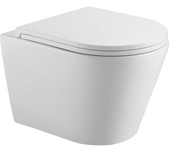 Изображение товара Подвесной безободковый унитаз HOLLER SHELL_MW (480х365х360 мм, сиденье дюропласт, микролифт) белый матовый 319014