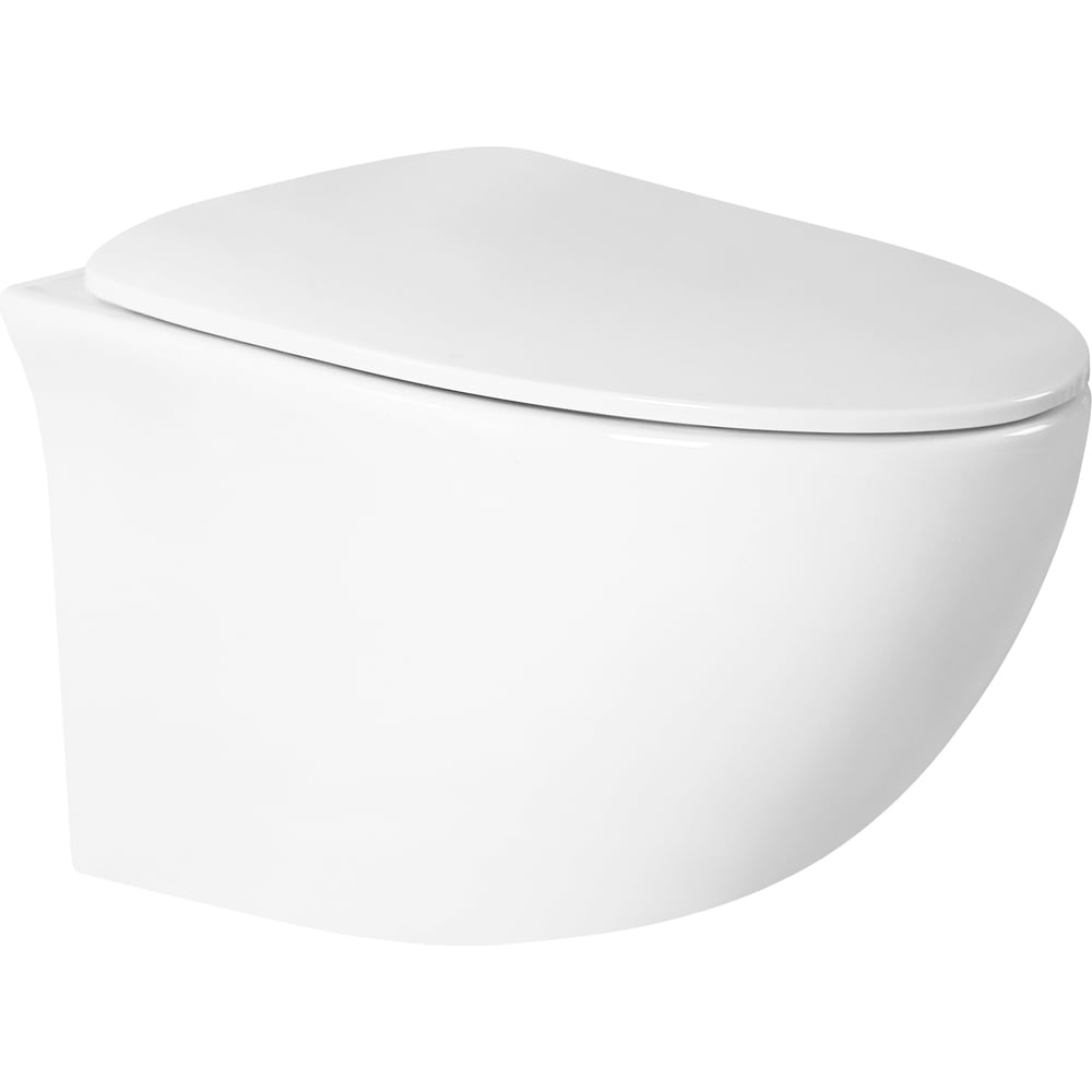 Изображение товара Подвесной безободковый унитаз HOLLER SPACE с микролифтом и системой антивсплеск