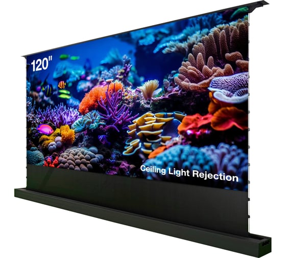 Изображение товара Экран CACTUS FloorRising CS-PSFRCLR-263x148, 16:9, 148x263 см, напольный, рулонный, черный, моторизованный привод, 2029371