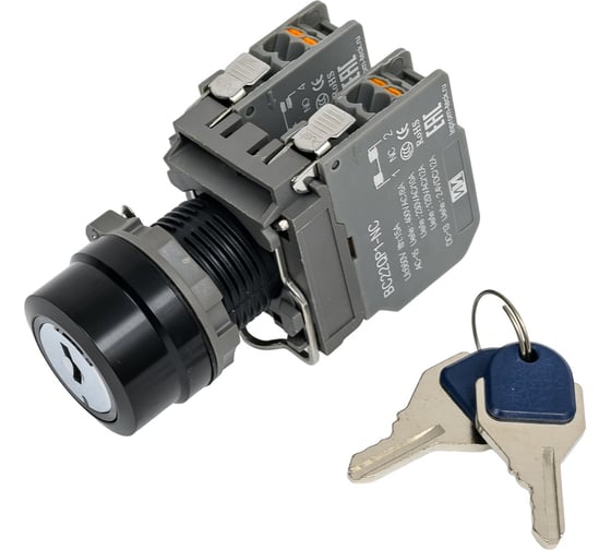 Изображение товара Переключатель с ключом Инпром Инновации K22L-MB2 NO+NC s10040