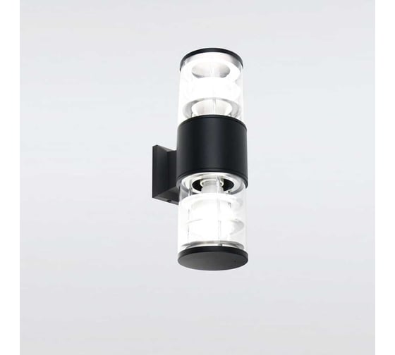 Изображение товара Фасадный светильник General Lighting Systems Апофема двойной (108*160*330), GWL-2Е27-M-IP65, два патрона Е27, под лампу до 50Вт, корпус металл + пластик, черный 662513