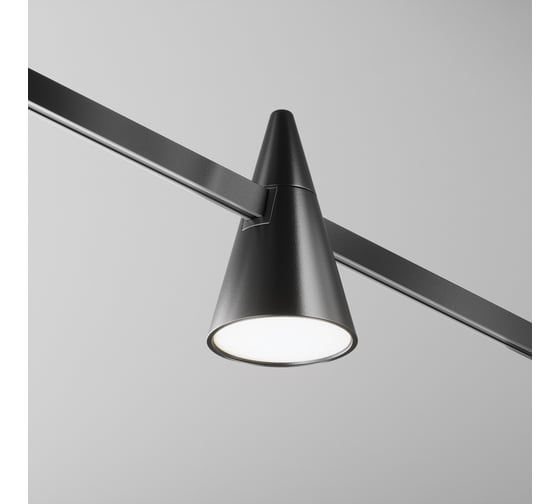 Изображение товара Трековый светильник Maytoni TR146-1-5W4K-B