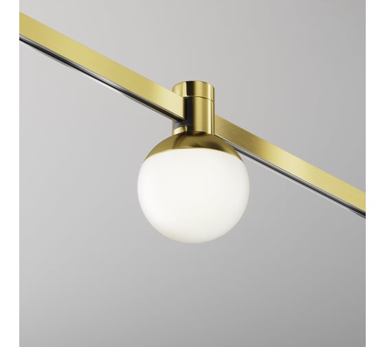 Изображение товара Трековый светильник Maytoni TR149-1-5W4K-BS