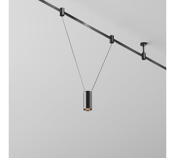 Изображение товара Трековый светильник Maytoni TR157-1-12W3K-B