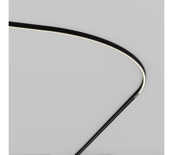 Изображение товара Трековый светильник Maytoni TR186-1-16W2.7K-B