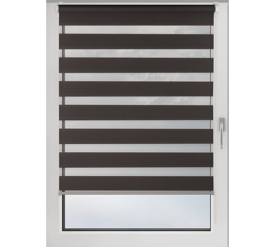 Изображение товара Рулонная штора PRAKTO Day&Night 100х160см темно-серый 8311909