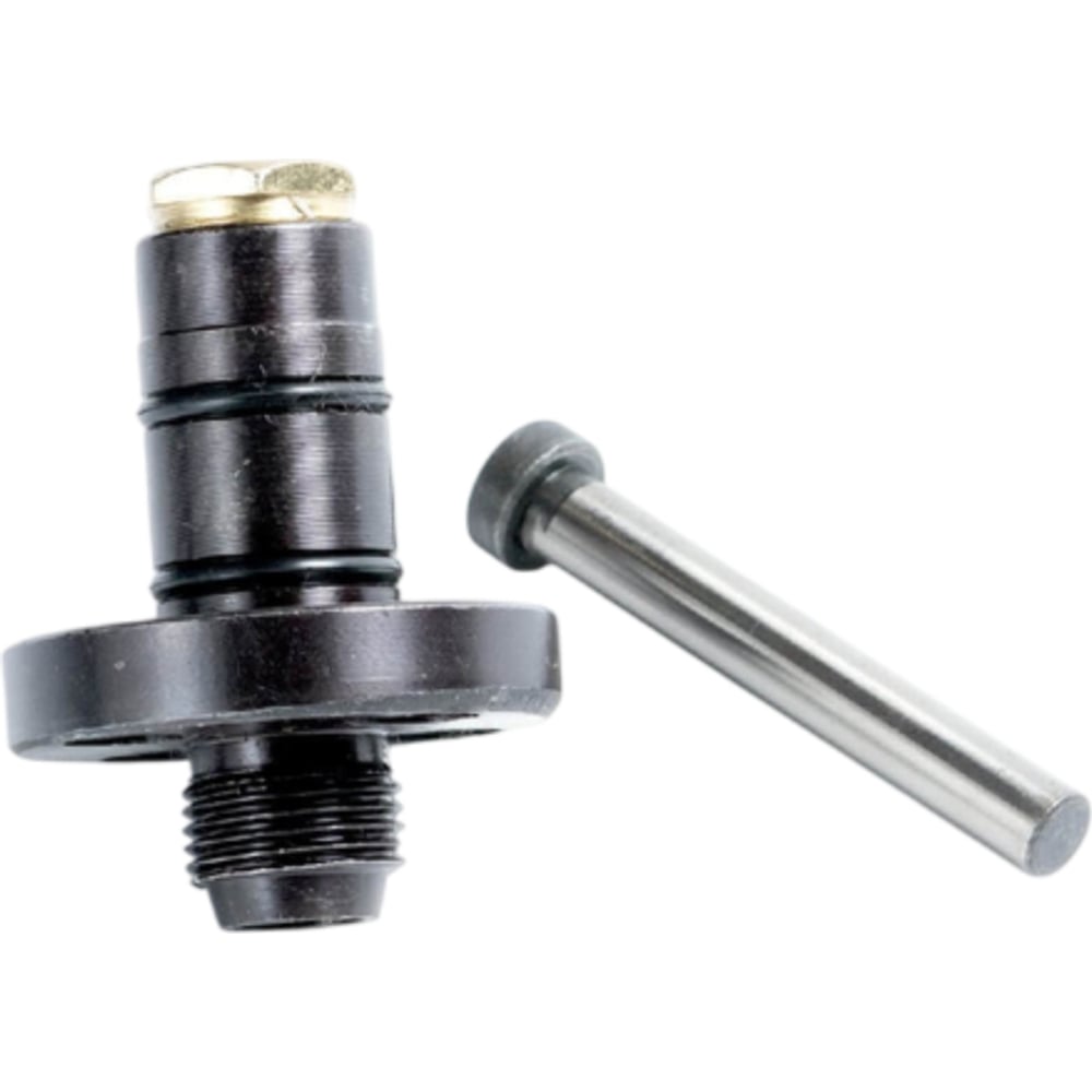 Изображение товара Поршень для инъекционного насоса AktiSpray AvS-9999 / AvS-999