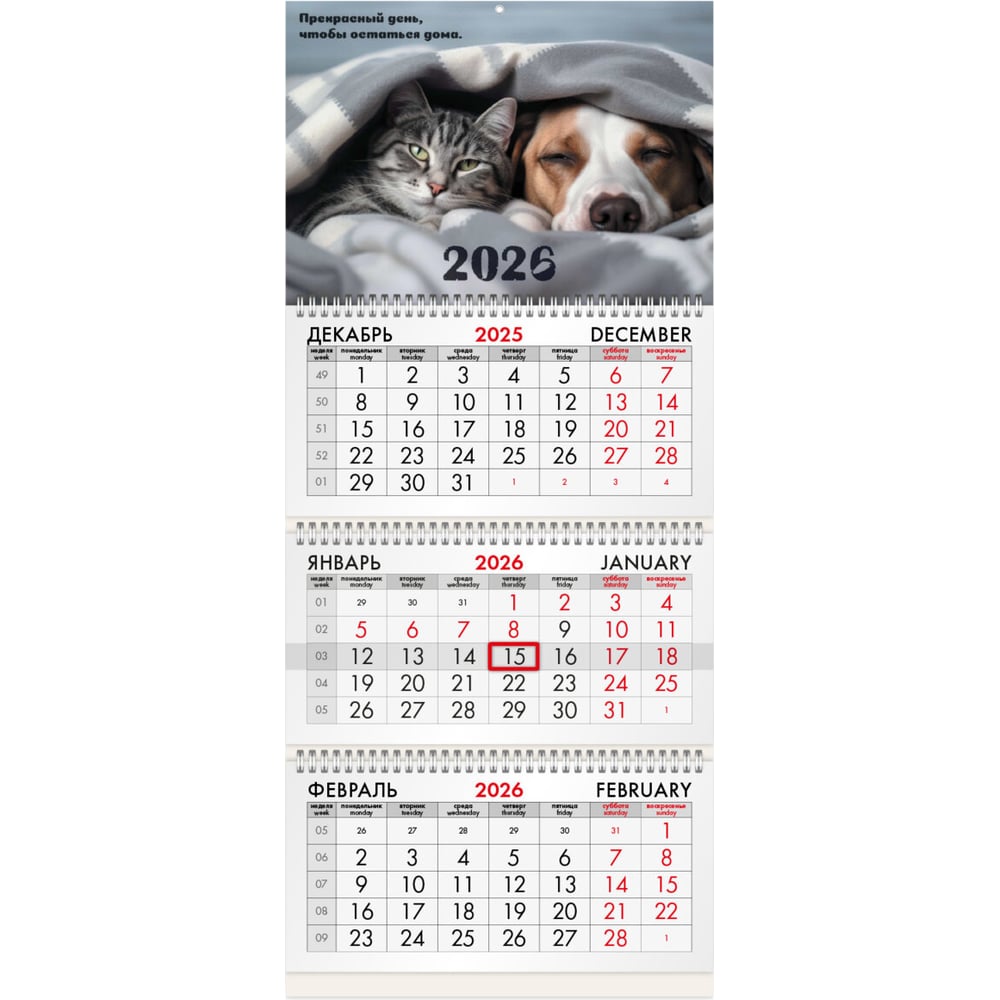 Изображение товара Квартальный календарь BRAUBERG 2026 г с тремя блоками и тематикой домашние любимцы