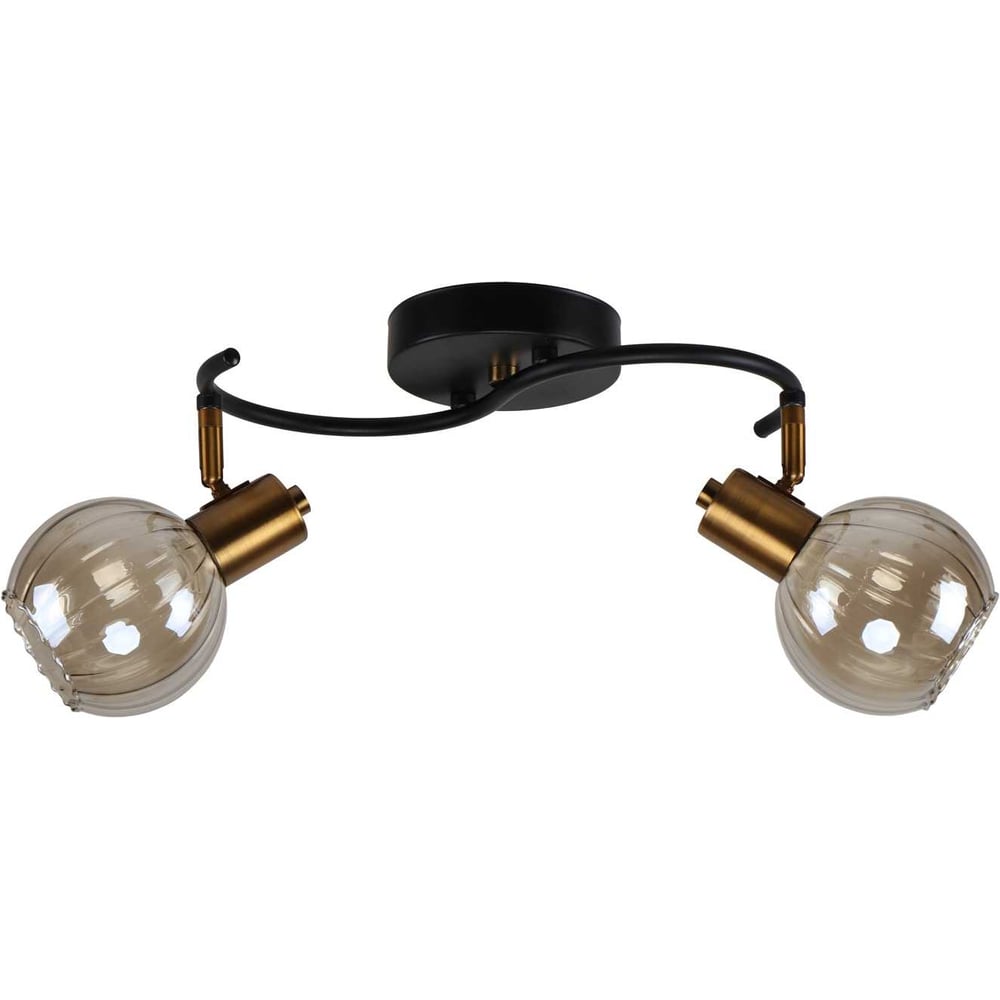 Изображение товара Потолочный светильник ЭкономСвет 20785/2GD+BK BR для современного интерьера