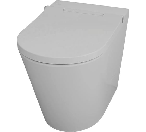 Изображение товара Унитаз приставной безободковый с крышкой-биде Hatria H-SMART Y9D401