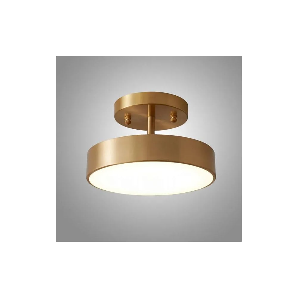 Изображение товара Накладной светодиодный светильник IMPERIUMLOFT TENN C D120 12 Вт регулируемый