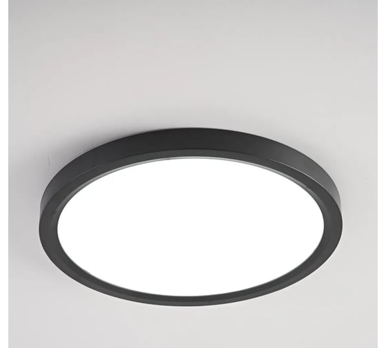 Изображение товара Потолочный светильник IMPERIUMLOFT SLIM D23 Черный 178442-26