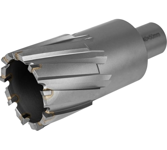 Изображение товара Фреза по металлу Elitech, 40x55мм Weldon 19мм TCT 1110.010500 205066
