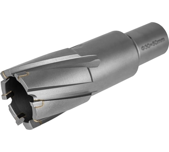 Изображение товара Фреза по металлу Elitech, 30x55мм Weldon 19мм TCT 1110.010300 205064
