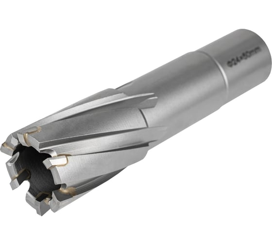 Изображение товара Фреза по металлу Elitech, 24x55мм Weldon 19мм TCT 1110.010000 205061