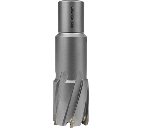 Изображение товара Фреза по металлу Elitech, 28x55мм Weldon 19мм TCT 1110.010200 205063