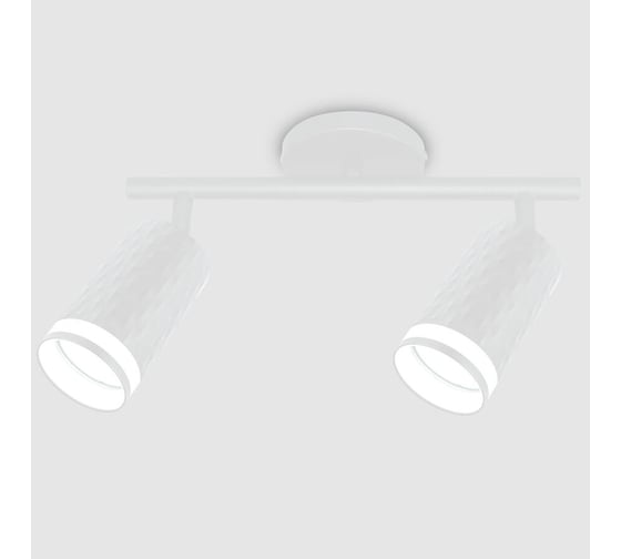 Изображение товара Накладной светильник (спот) General Lighting Systems General (D55*H100) GWL-2GU10-M-IP20, круглое основание, два патрона под 661866