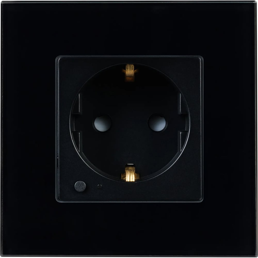 Изображение товара Розетка электрическая Arlight с Zigbee управлением SCT-OMALI-EUZB1-PL-BK 1шт 0 050216