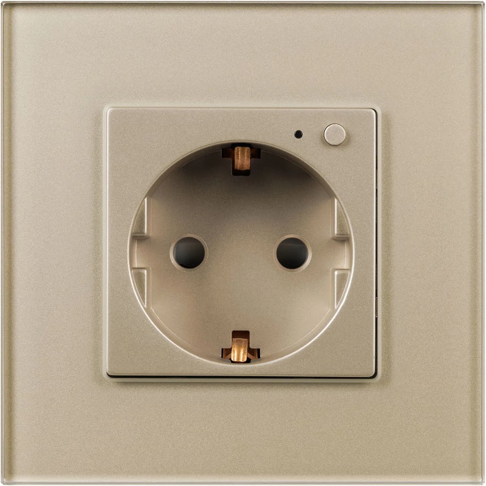 Изображение товара Розетка электрическая Arlight с Zigbee управлением SCT-OMALI-EUZB1-PL-GD 1шт 0 050218