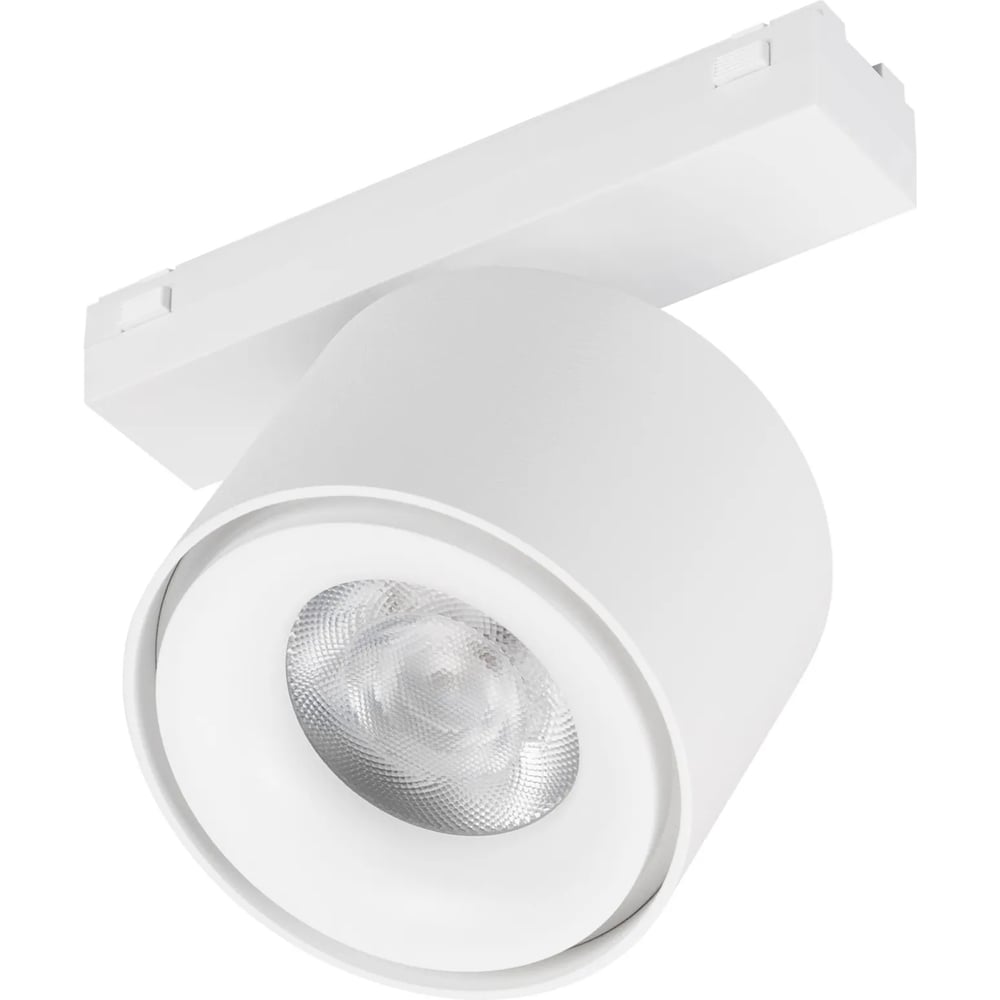 Изображение товара Светильник Arlight MAG-VIBE-POINT-R75-10W Day4000-MIX 1шт 0 045001