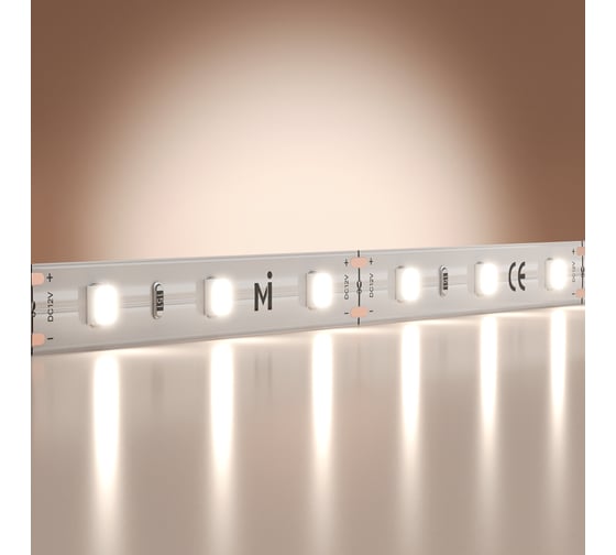 Изображение товара Светодиодная лента Maytoni 12В 2835 9,6Вт/м 6000K 5м IP 20 201170