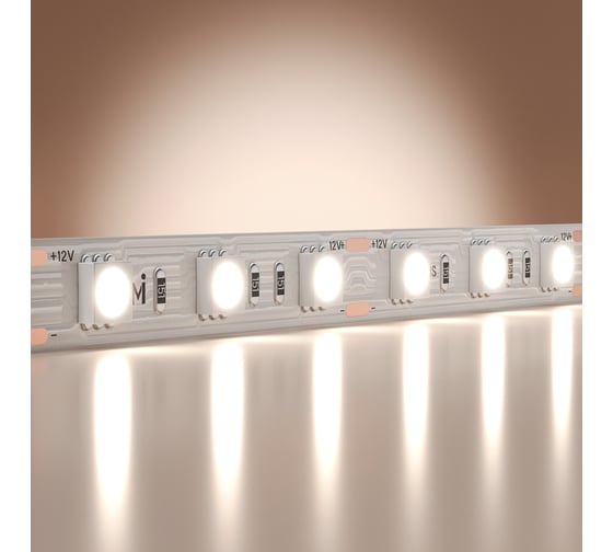 Изображение товара Светодиодная лента Maytoni 12В 5050 14,4Вт/м 6000K 5м IP 20 201185