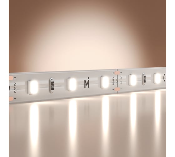 Изображение товара Светодиодная лента Maytoni 12В 2835 4,8Вт/м 6000K 5м IP 20 201164