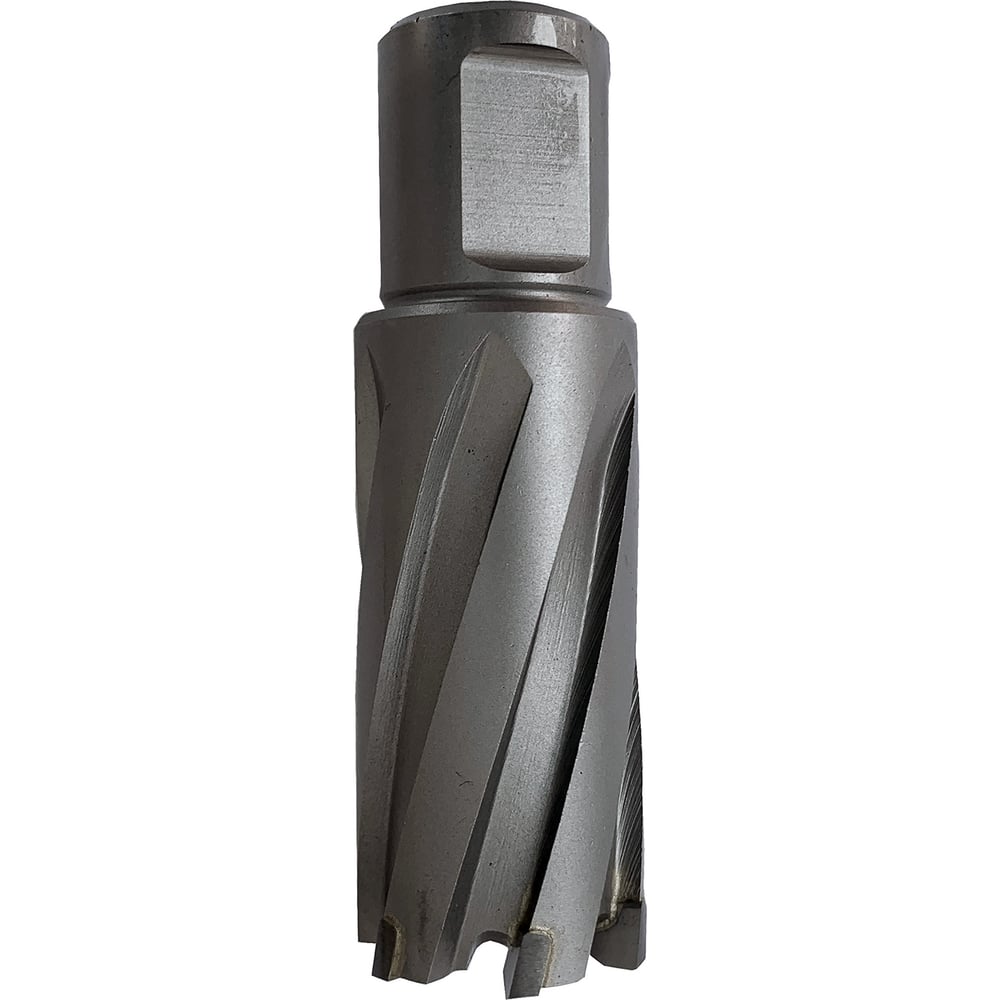 Изображение товара Сверло корончатое 18x55 мм Weldon 19 для твердых материалов