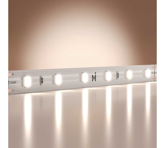 Изображение товара Светодиодная лента Maytoni 24В 2835 4,8Вт/м 6000K 5м IP 20 201167