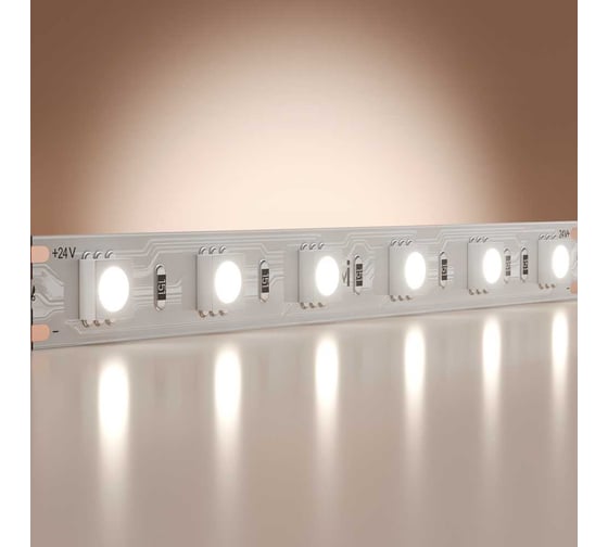 Изображение товара Светодиодная лента Maytoni 24В 5050 14,4Вт/м 6000K 5м IP 20 201191