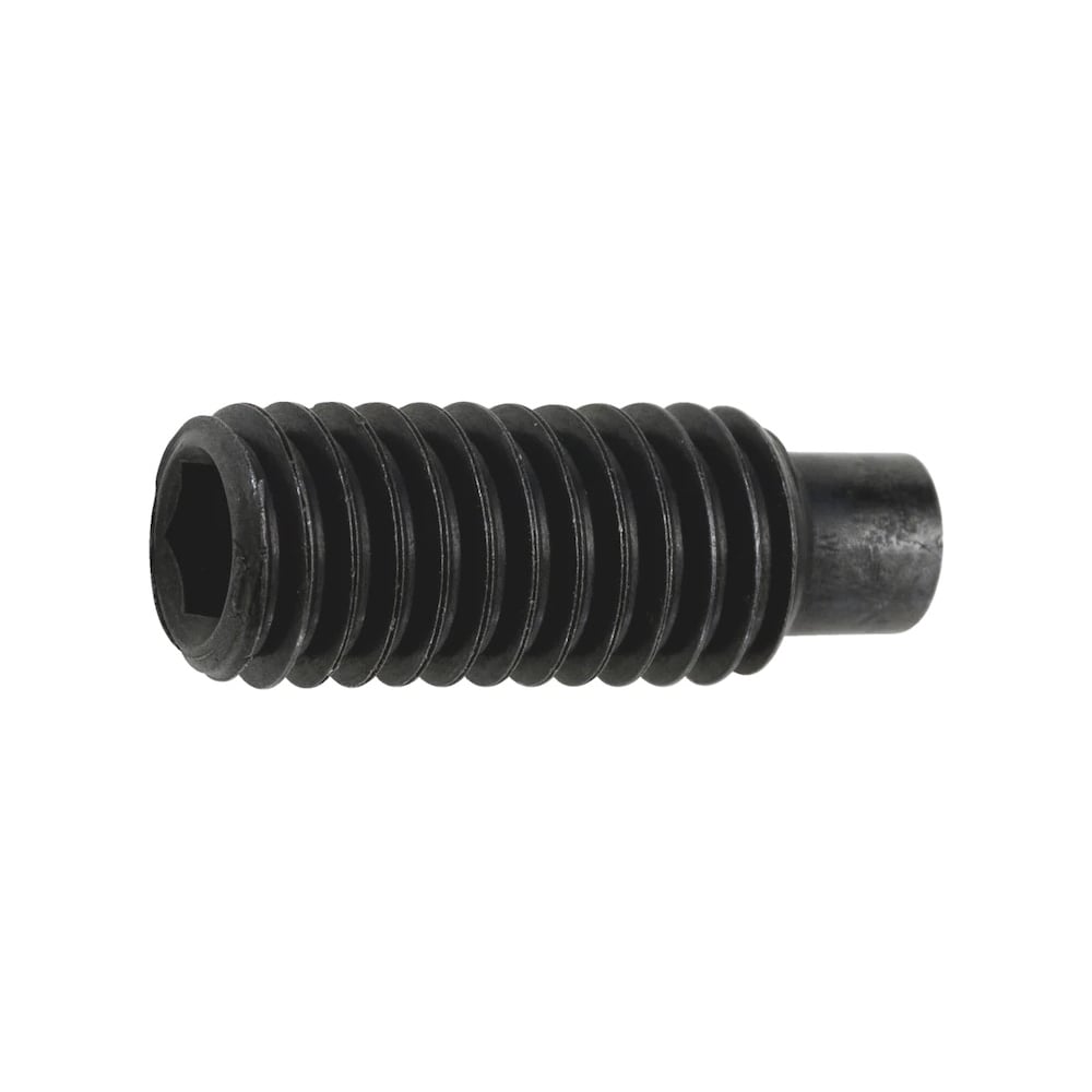 Изображение товара Винт установочный М12x30 с внутренним шестигранником 5 шт. DIN 915