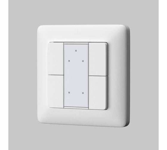 Изображение товара Кнопочная настенная панель Maytoni CP00202002 721040