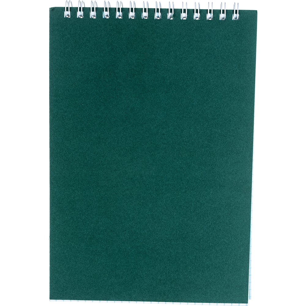 Блокнот Альт ежедневник недатированный а5 160 листов calligrata мрамор зеленый глянцевая ламинация