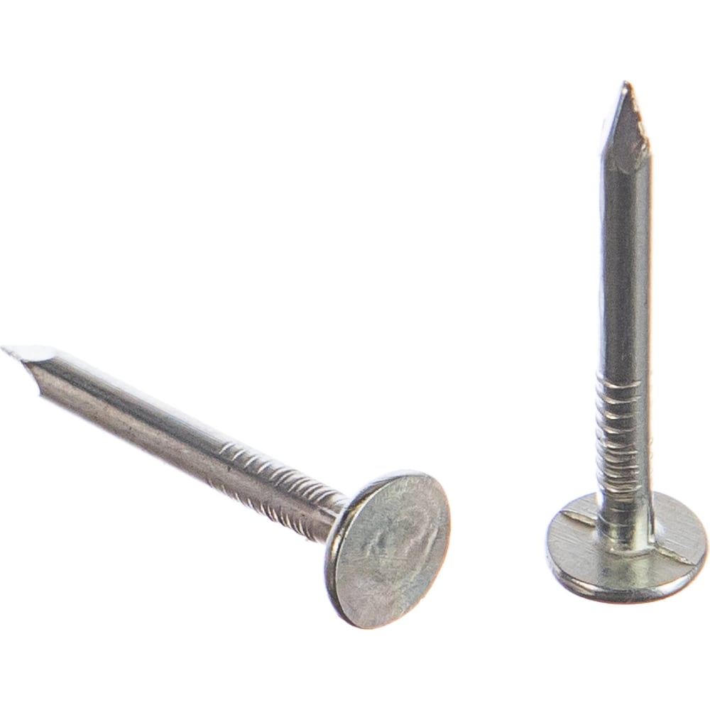 Изображение товара Гвозди толевые BlackWeld 2,5x40 цинкованные 5 кг строительный крепеж