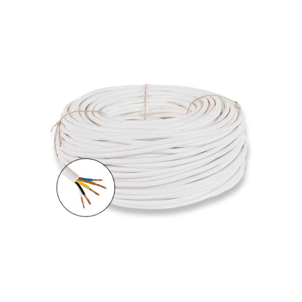 Изображение товара Провод бытовой БУРЕВЕСТНИК ПВСнг(A)-LS 5x2.5 мм2, 2м BOZ76350L2