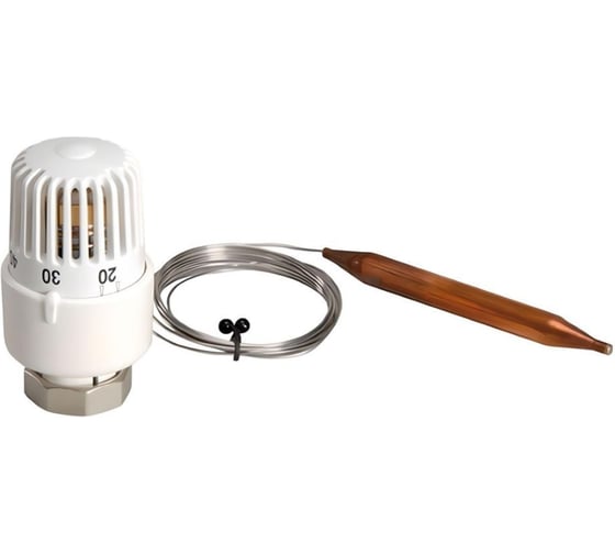 Изображение товара Термостатическая головка с погружным датчиком Millennium TGPD0101