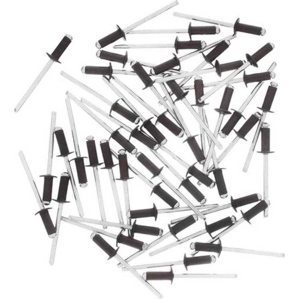 Изображение товара Заклепка вытяжная BlackWeld 4,8x10 RAL 8017 шт 500 надежное соединение
