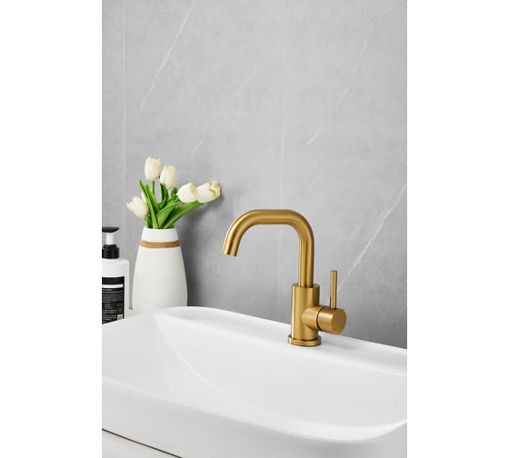 Изображение товара Смеситель для раковины BELZ B10810-5