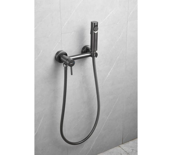 Изображение товара Смеситель с гигиенической лейкой BELZ B55803-3