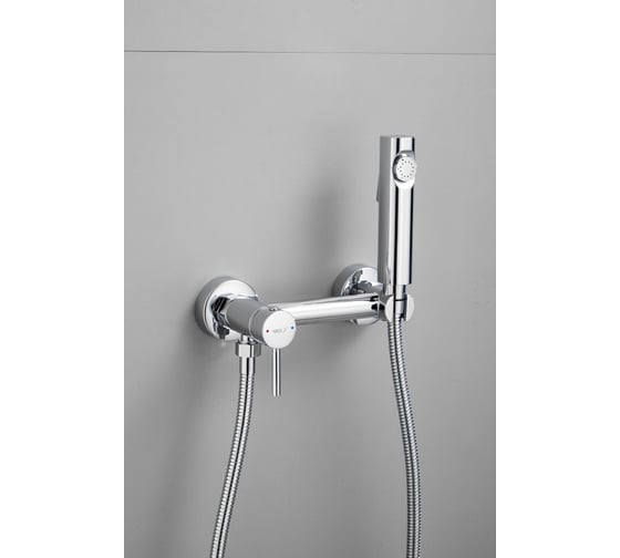 Изображение товара Смеситель с гигиенической лейкой BELZ B55803