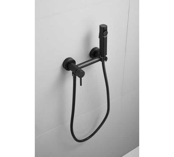 Изображение товара Смеситель с гигиенической лейкой BELZ черный B55803-7